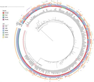 Prevalence and genetic diversity of multidrug-resistant Salmonella Typhimurium monophasic variant in a swine farm from China